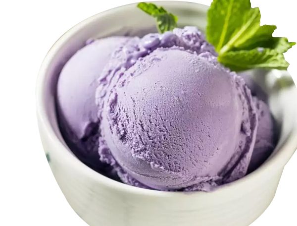 Jamun Ice Cream